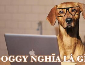Doggy nghĩa là gì