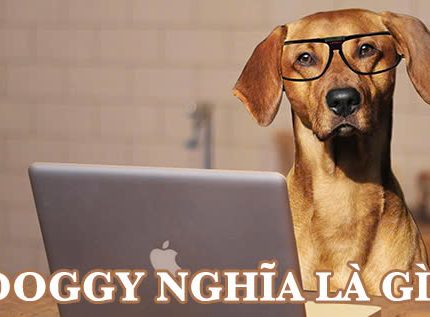Doggy nghĩa là gì