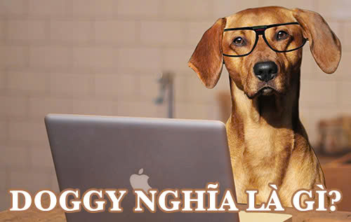 Doggy nghĩa là gì